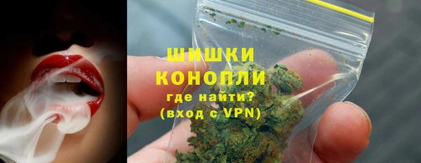 сатива Медногорск