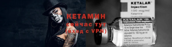 сатива Медногорск
