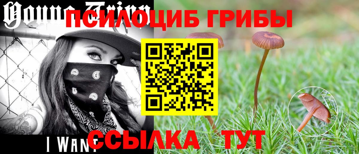 Новодвинск  Галлюциногенные грибы мухоморы  наркотики  Вход с VPN 