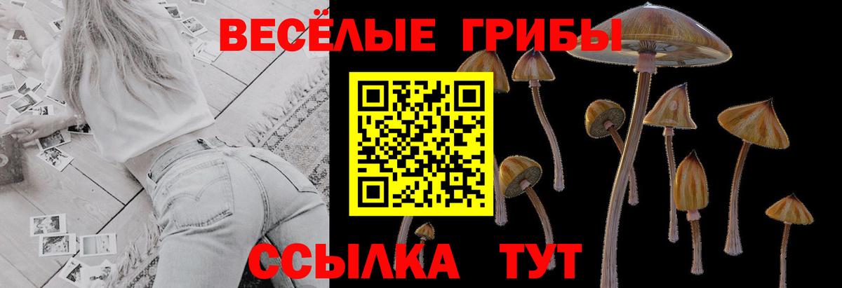 Псилоцибиновые грибы ЛСД Новодвинск